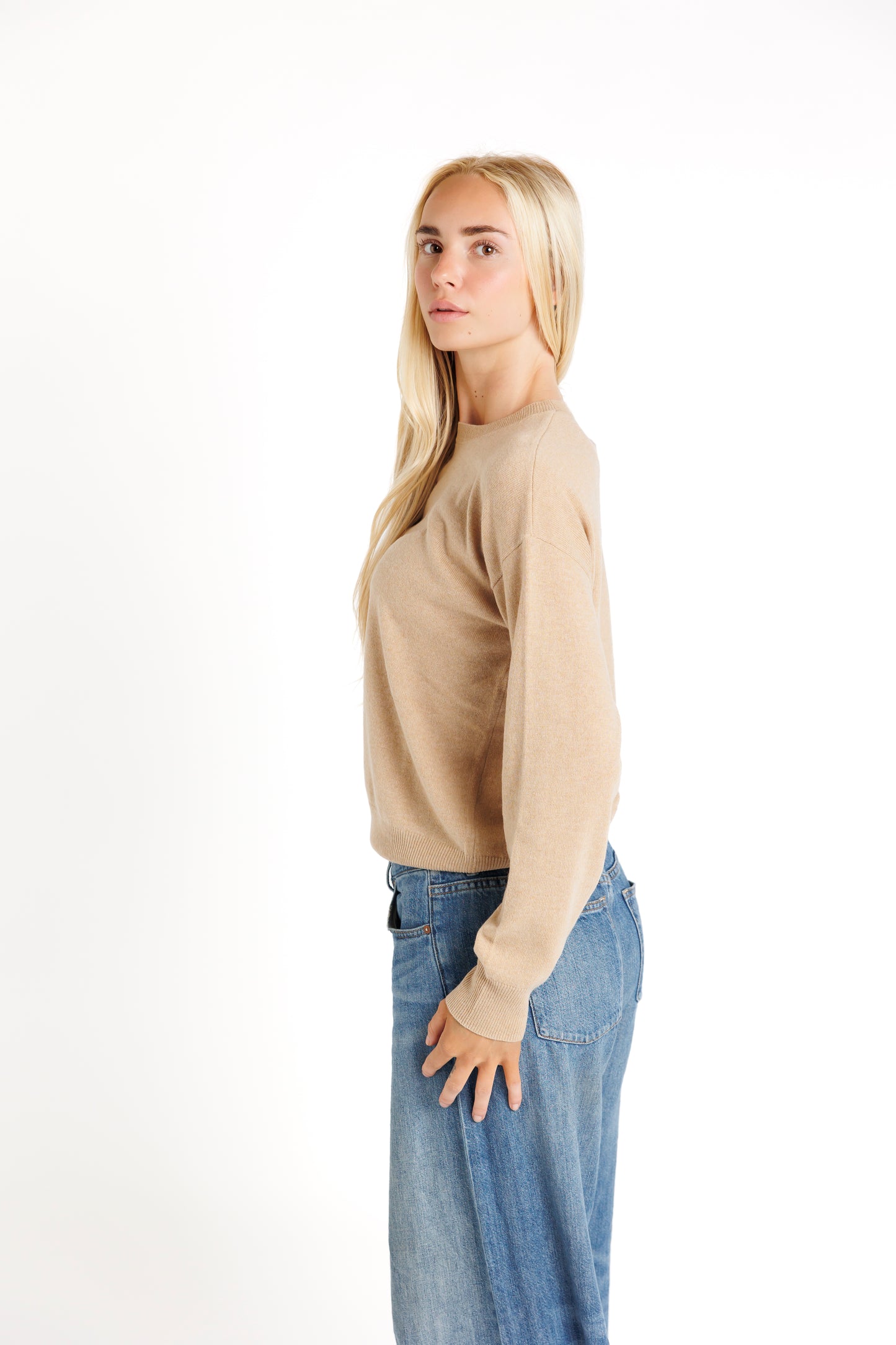 The Crew Neck. Camel